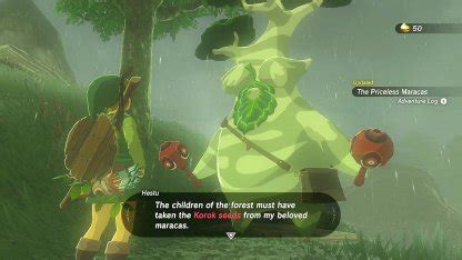 botw max inventory|How to increase your inventory capacity in Zelda Breath of the .